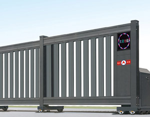 �λ��T��̖